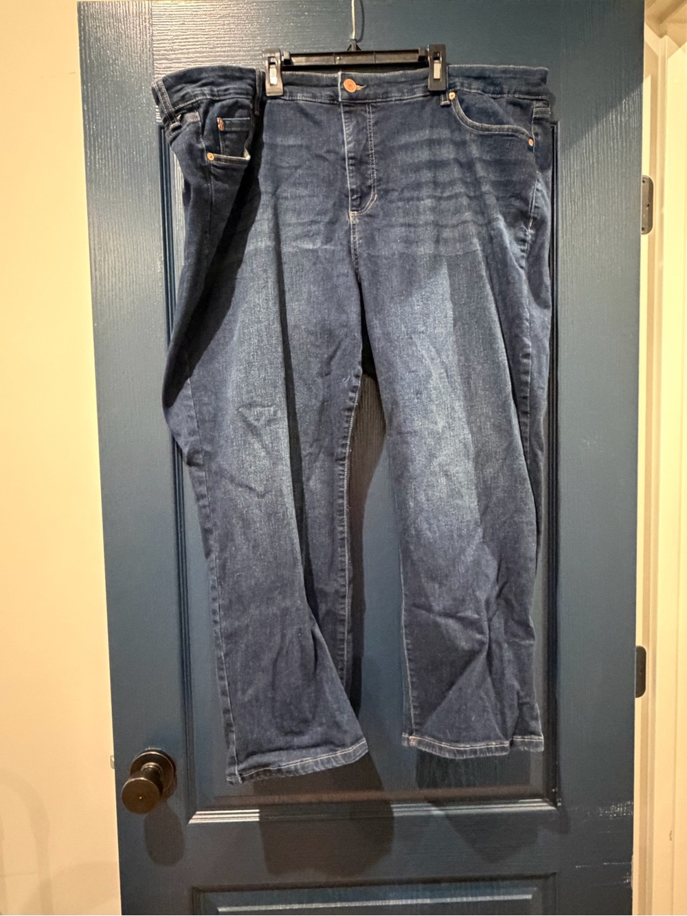 Bandolino Straight Jeans in Dark Blue Denim